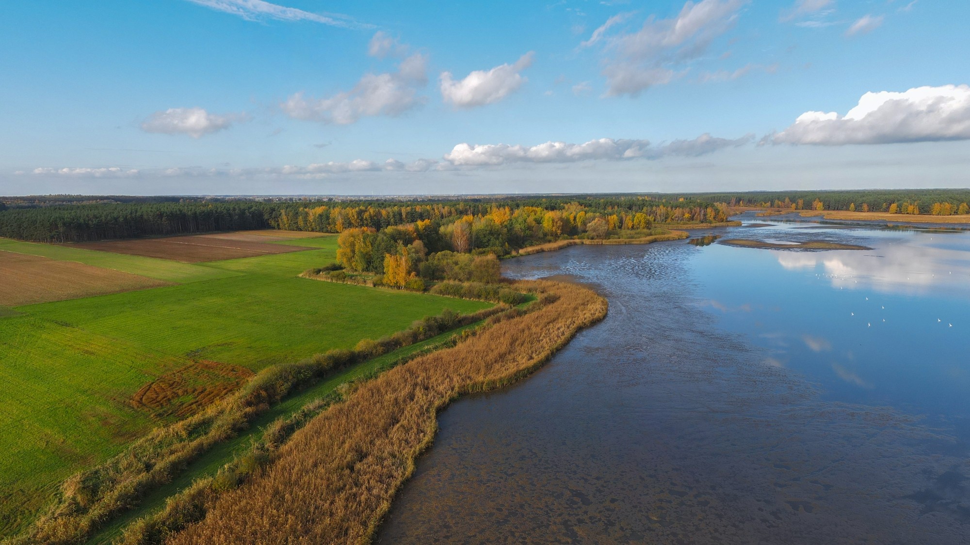Jesień w Polsce z lotu ptaka - zdjęcie 19