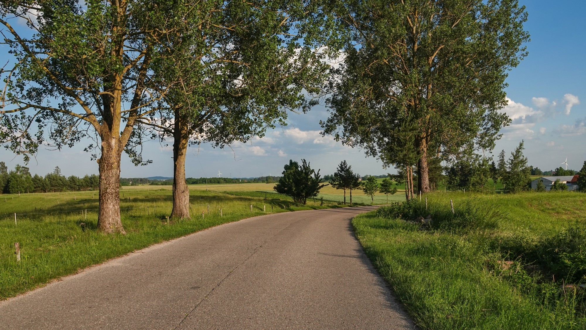 Letnie klimaty na łonie natury - zdjęcie 30