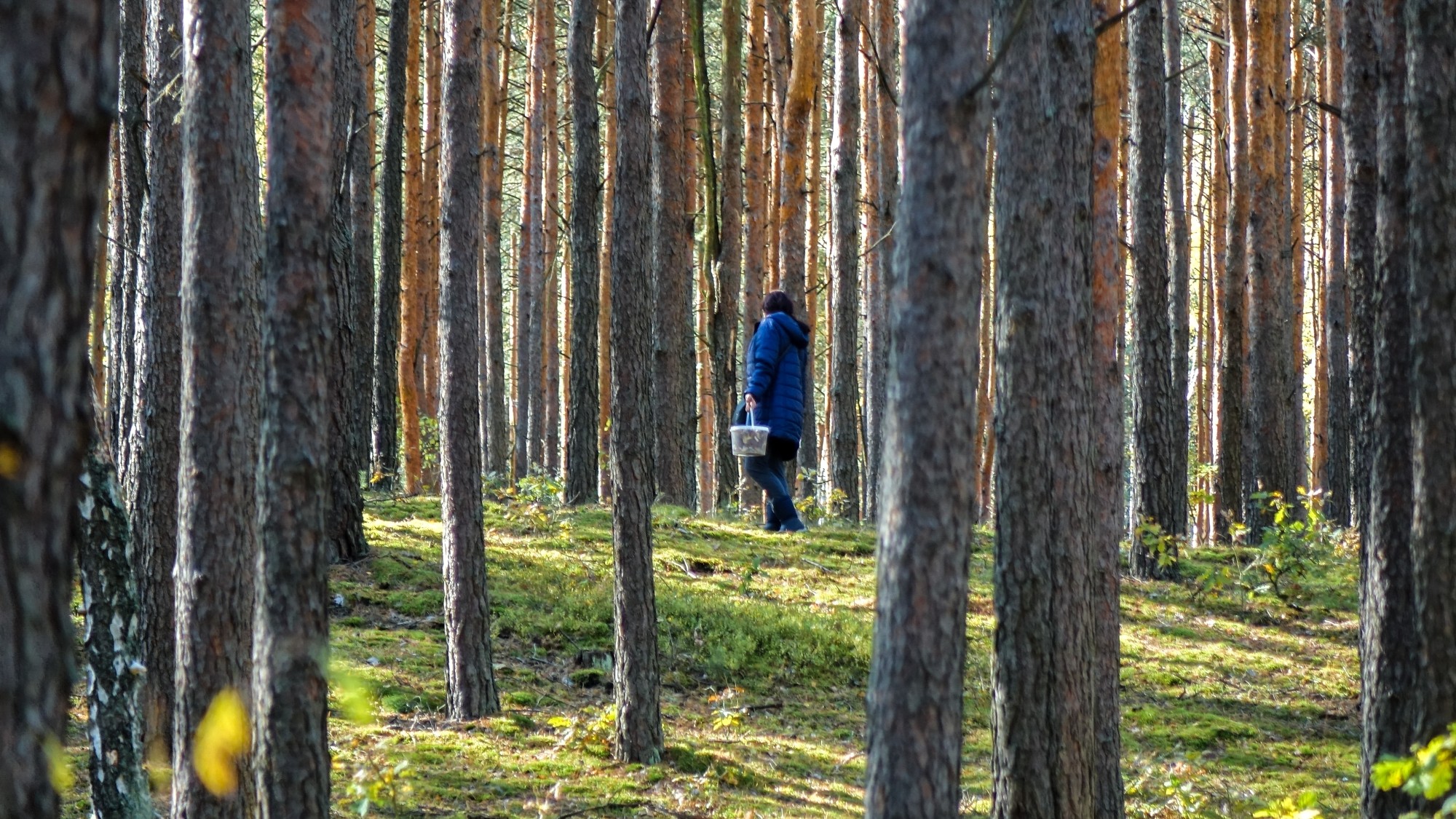 Październik w obiektywie - zdjęcie 61