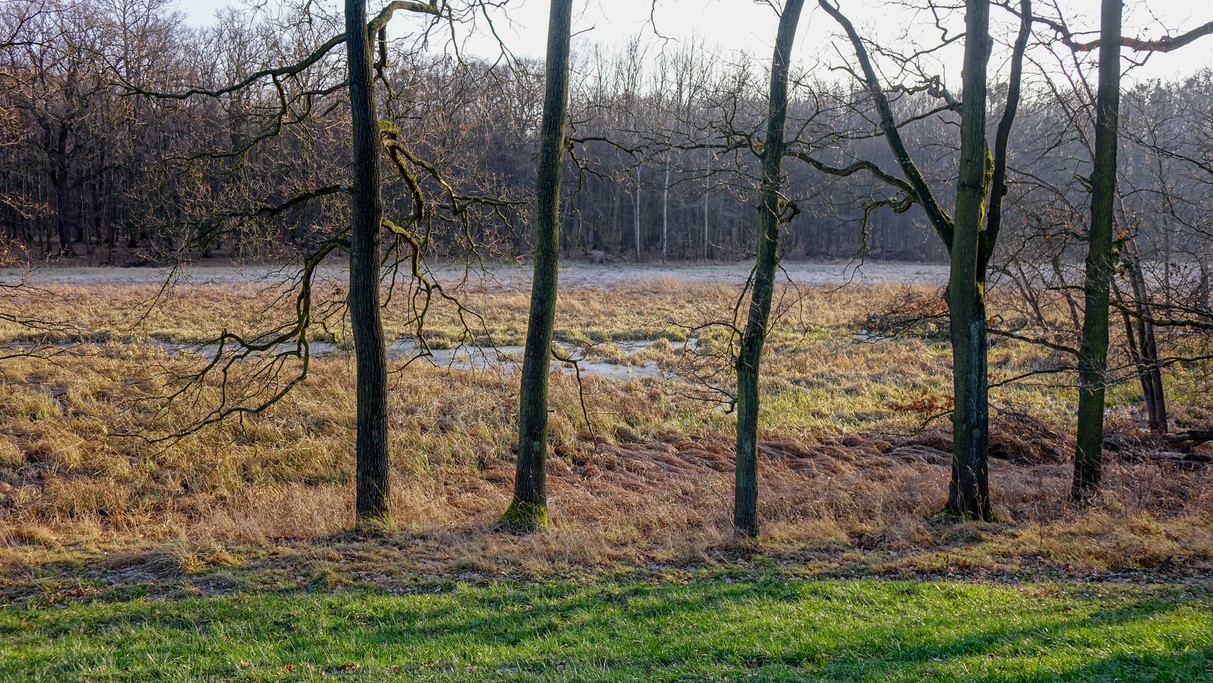 Styczeń w obiektywie - zdjęcie 54