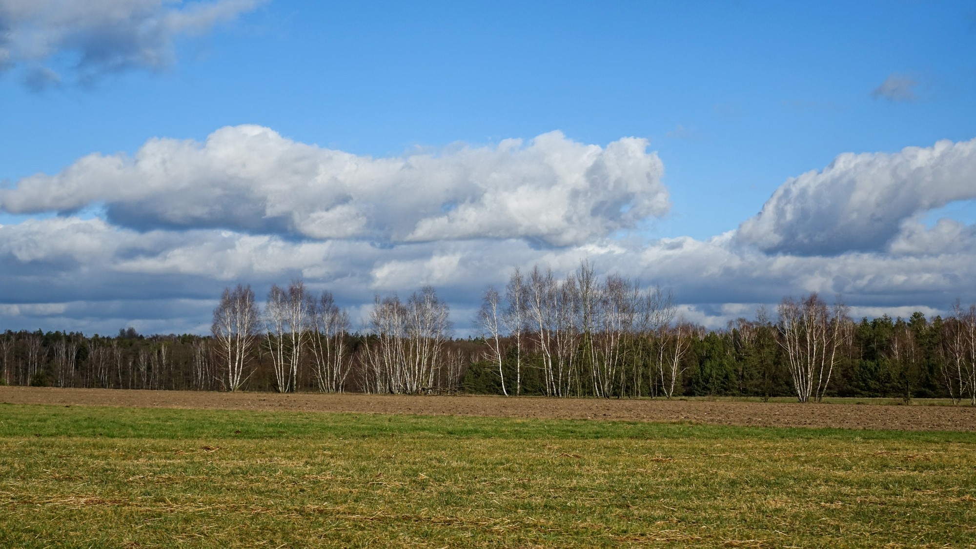 Najcieplejsza zima w historii - zdjęcie 38