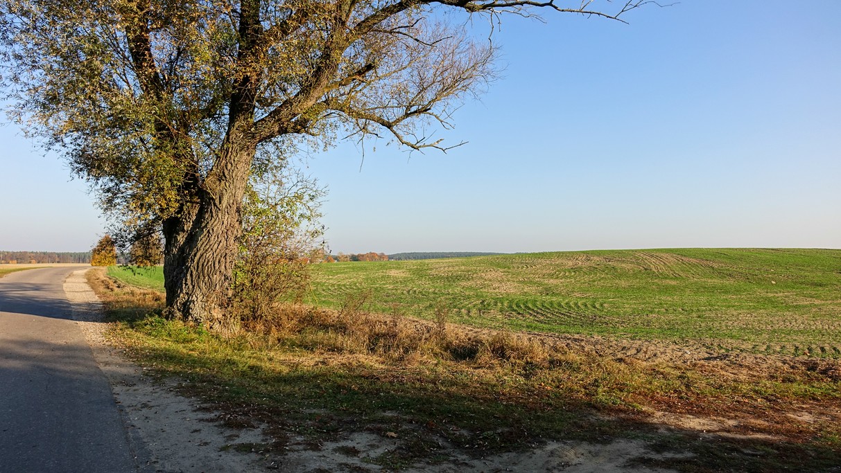 Jesienne krajobrazy za miastem - zdjęcie 40