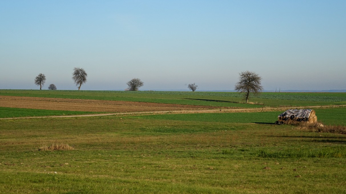 Listopad w obiektywie - zdjęcie 30