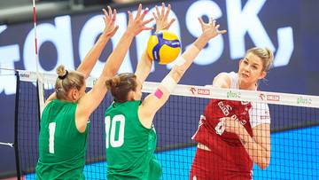 Siatkarska kadra wciąż bez trenera. Związek przełożył wybór nowego szkoleniowca