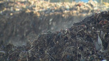 Zarzuty dla 8 osób ws. nielegalnych składowisk odpadów w Wielkopolsce