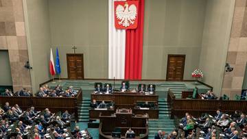 "Zrobiła pani z Polaków śmieciarzy". Sejm decyduje ws. Hennig-Kloski
