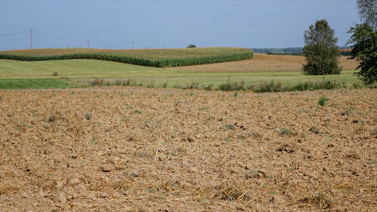 Sierpień w obiektywie - zdjęcie 17