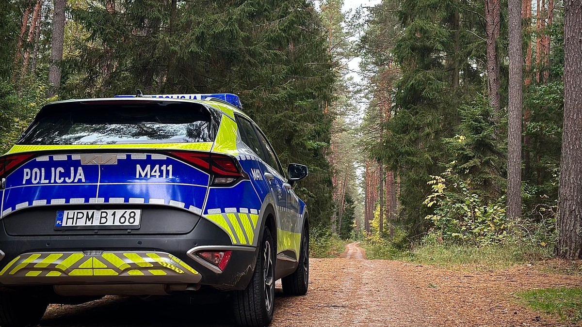 Twierdził, że zgubił się na grzybach. W rzeczywistości chciał, by policjanci odwieźli go do domu