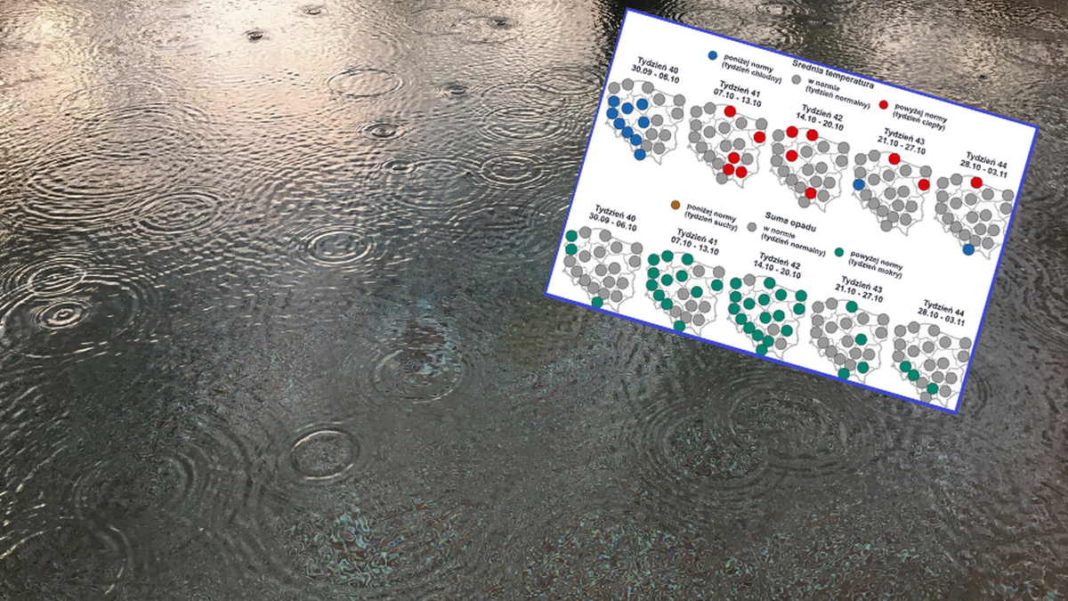 IMGW o pogodzie w październiku. "Mokre tygodnie" w środku miesiąca