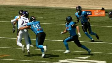 Koniec pięknej serii. Porażka Panthers Wrocław