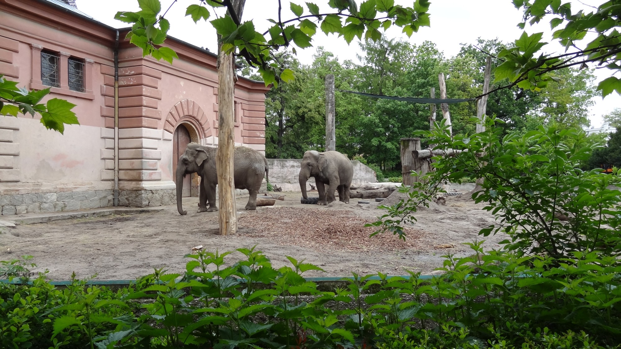 Z kamerą wśród zwierząt - zdjęcie 85