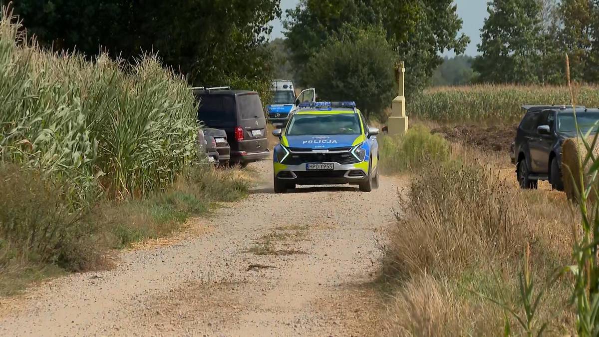 Eksplozja na Lubelszczyźnie. Nieznany obiekt spadł na pole kukurydzy