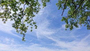 25.04.2022 05:58 Kiedy niebo będzie zupełnie wolne od chmur? Odpowiedź na to pytanie bardzo Was zaskoczy