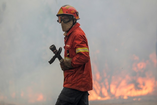 Z pożarem lasu w Portugalii walczy prawie tysiąc strażaków, niemal trzysta pojazdów i 11 samolotów