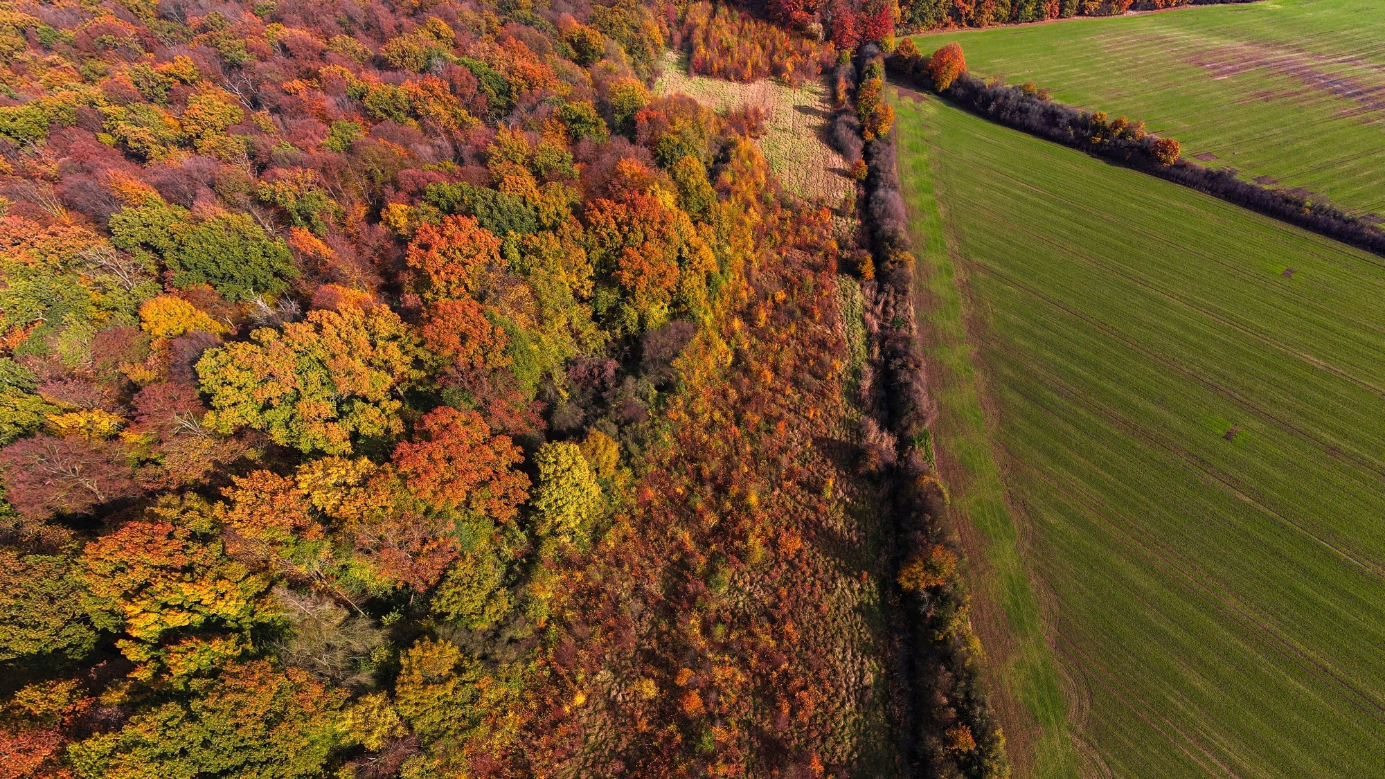 Jesień w Polsce z lotu ptaka - zdjęcie 32