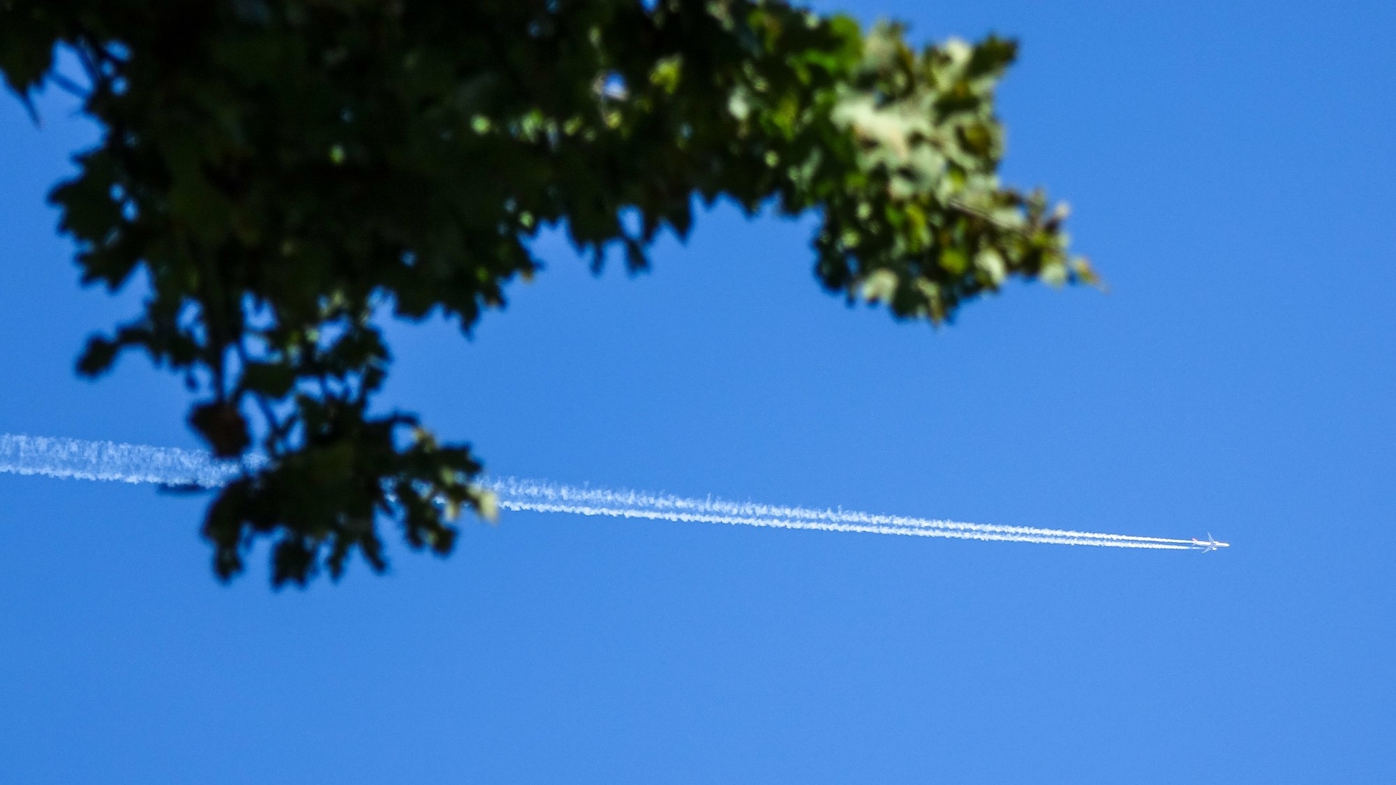 Wrzesień w obiektywie - zdjęcie 29