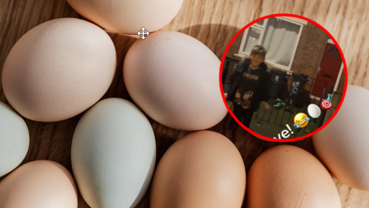 Wielka Brytania: Sześciolatek rzuca jajkami w domy. Ojciec nagrywa tiktoki i jest dumny