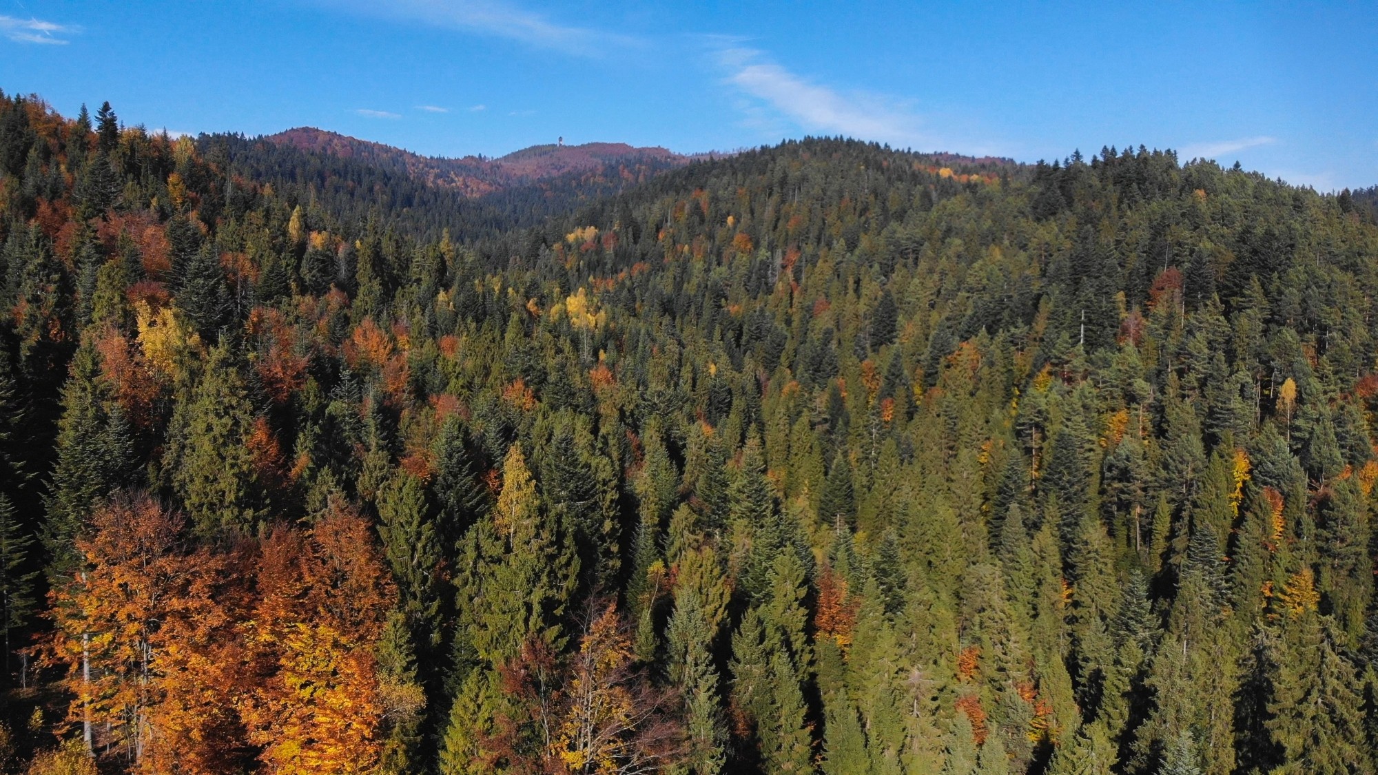 Jesień w górach z lotu ptaka - zdjęcie 27
