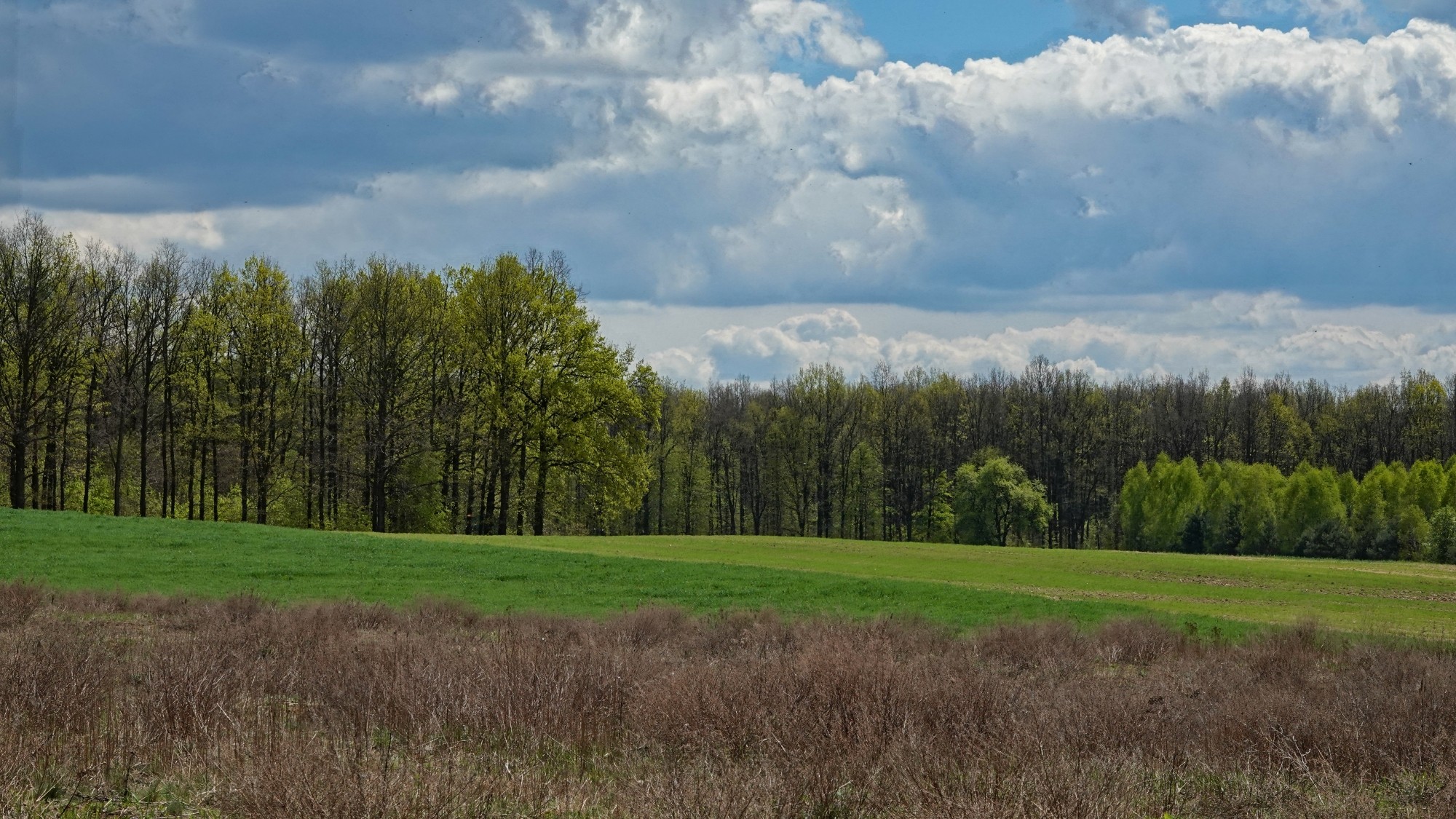 Całe piękno późnej wiosny - zdjęcie 44
