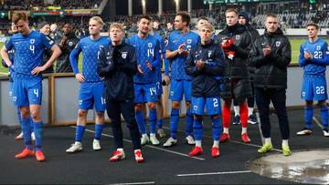 El. MŚ: Finlandia - Holandia. Relacja na żywo