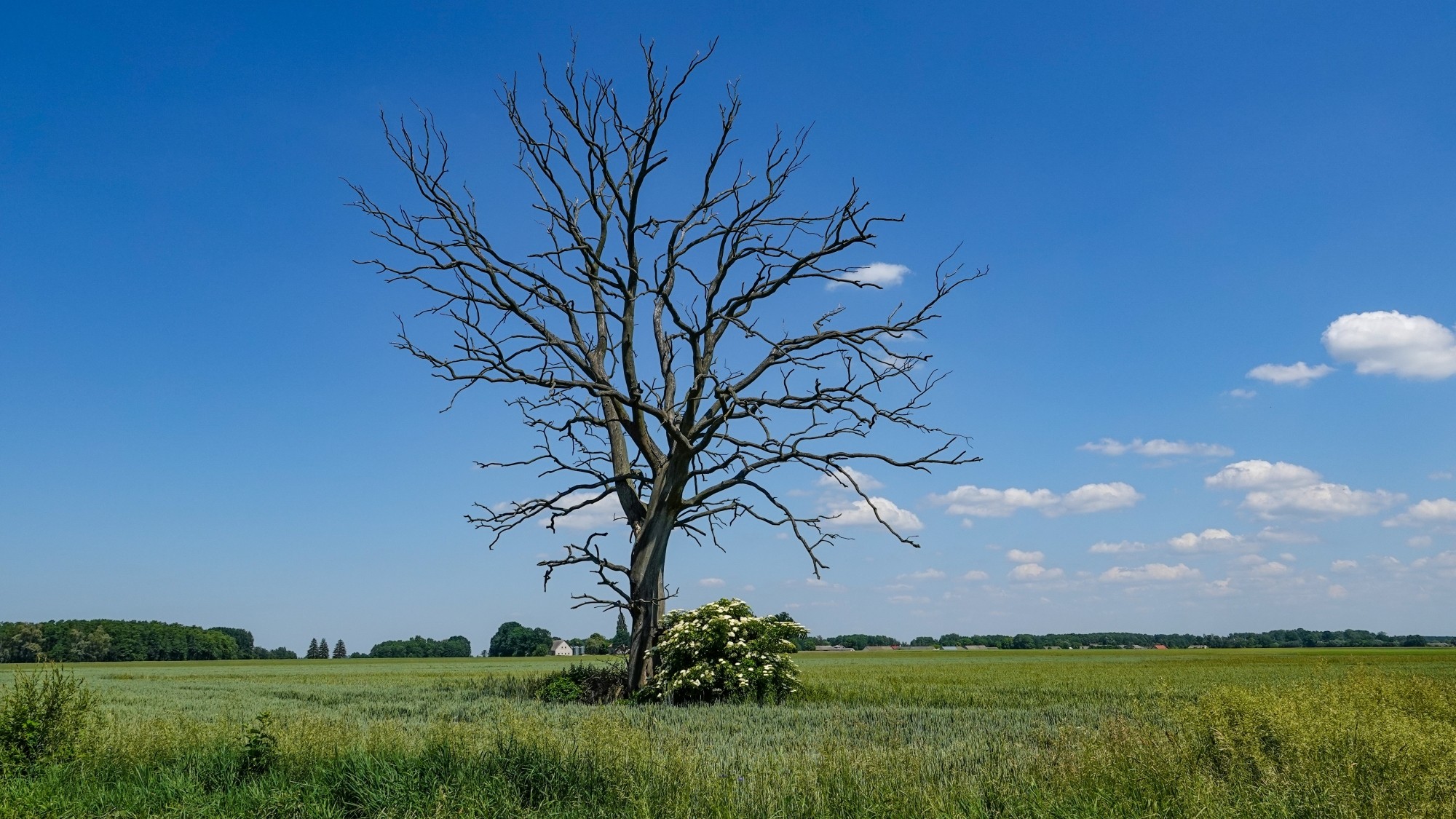 Lato w plenerze - zdjęcie 32