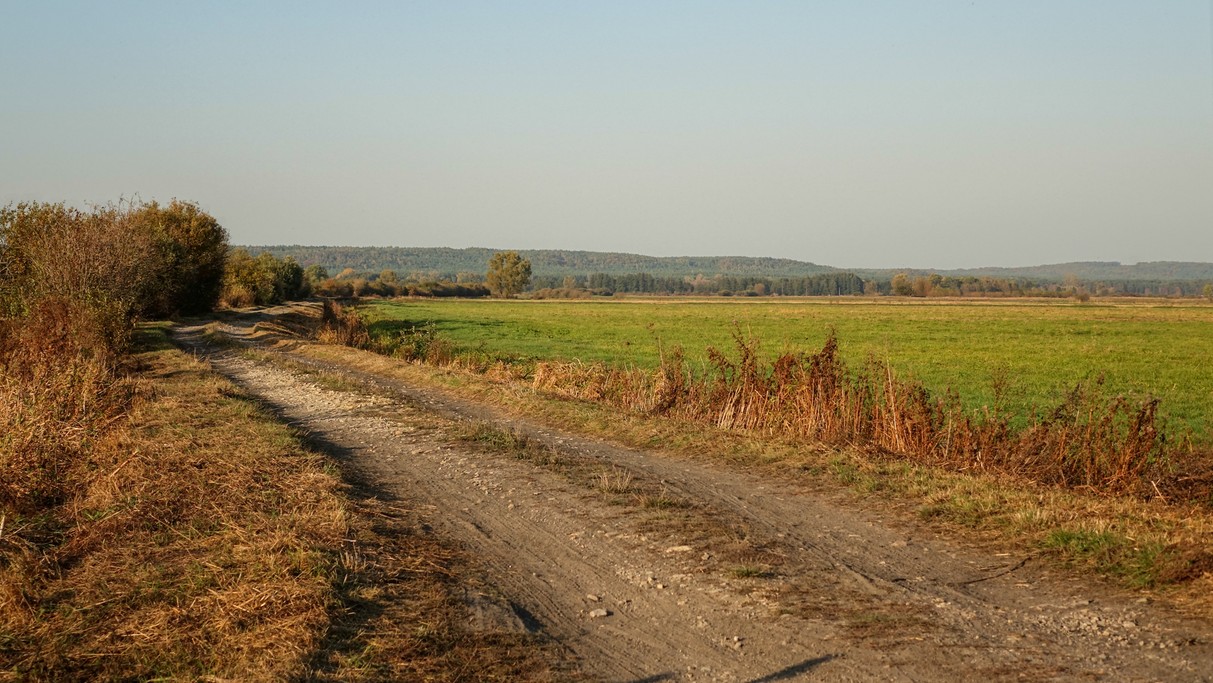 Jesienne krajobrazy za miastem - zdjęcie 73