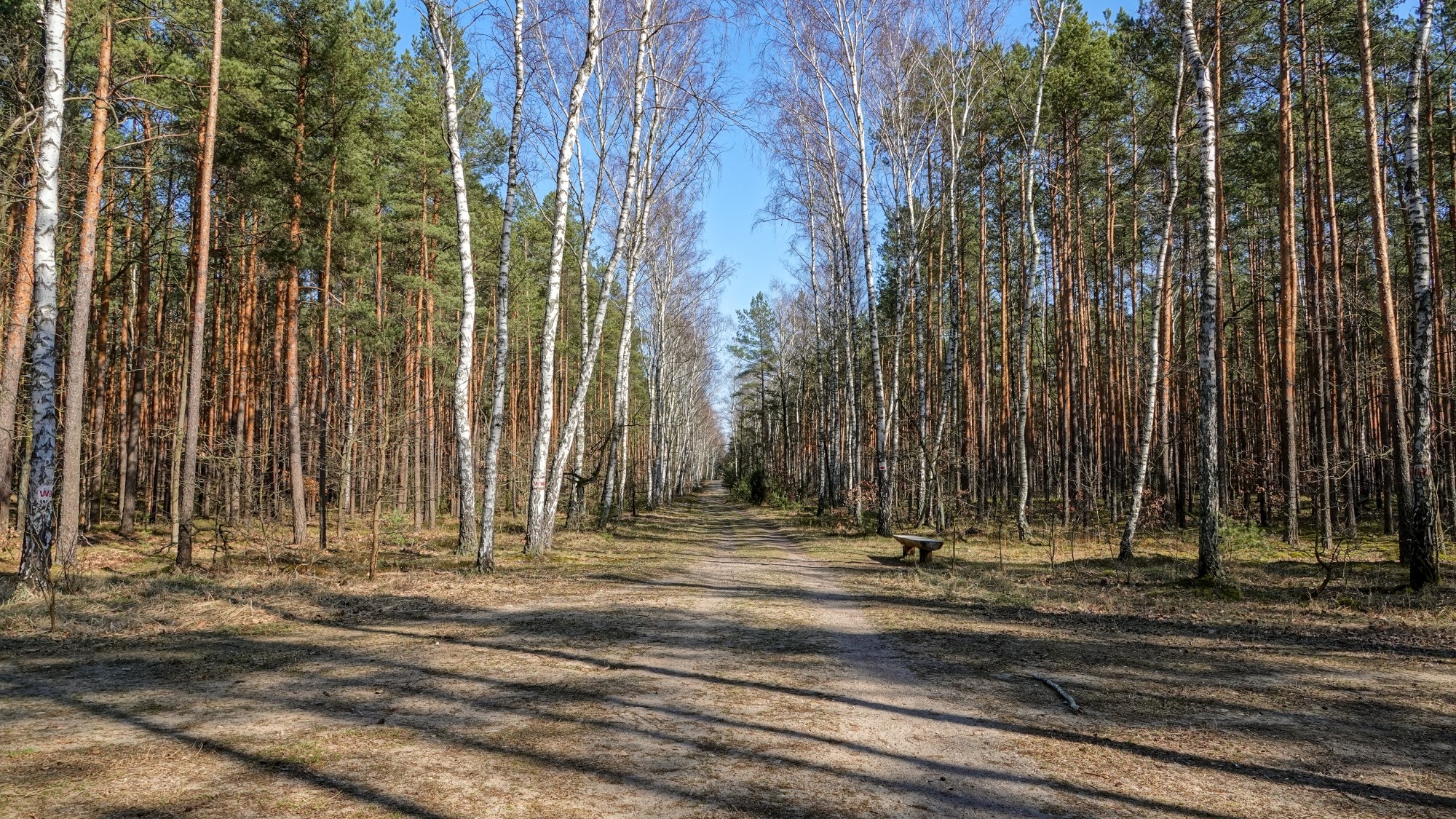 Marzec w obiektywie - zdjęcie 29