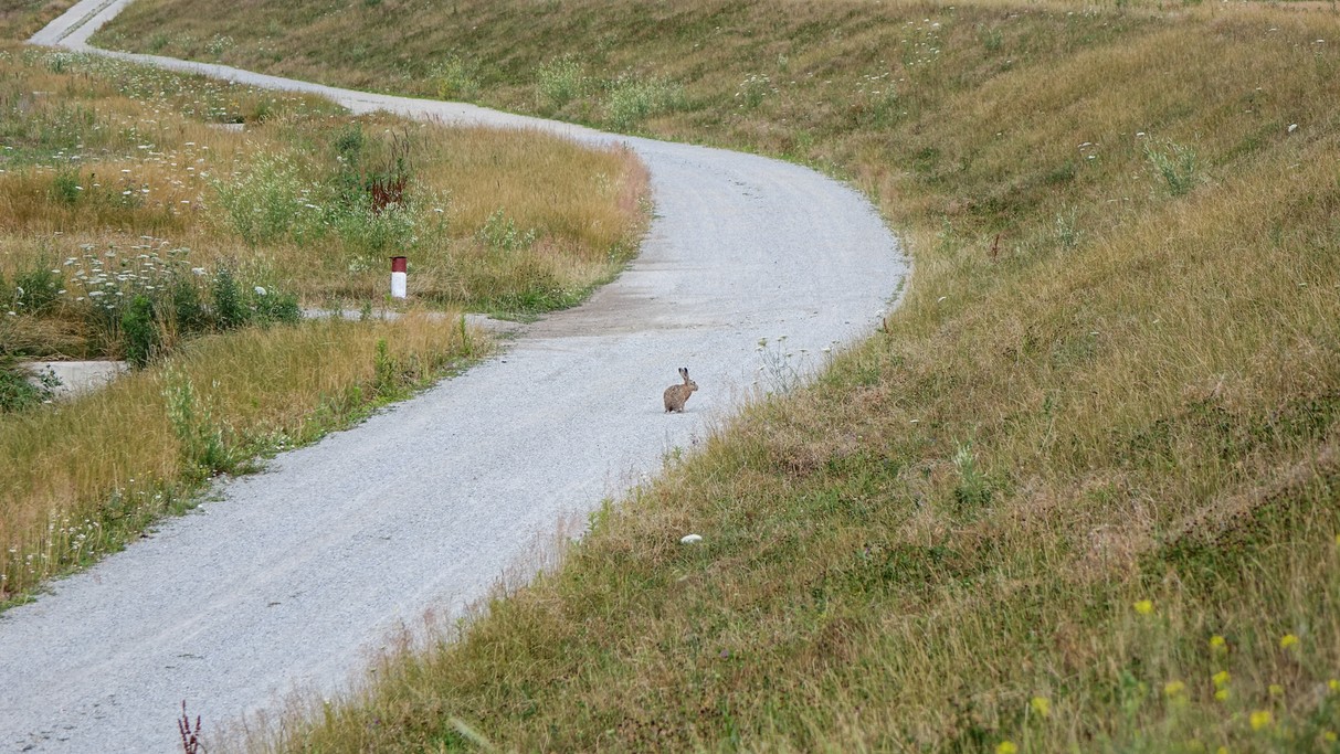 Czerwiec w obiektywie - zdjęcie 38