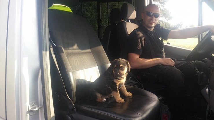 Policjant uratował maltretowanego szczeniaka i dał mu dom