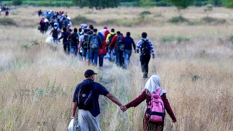 OECD: szczyt kryzysu uchodźczego minął