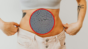 Bakterie jelitowe chronią mózg. Najnowsze ustalenia naukowców