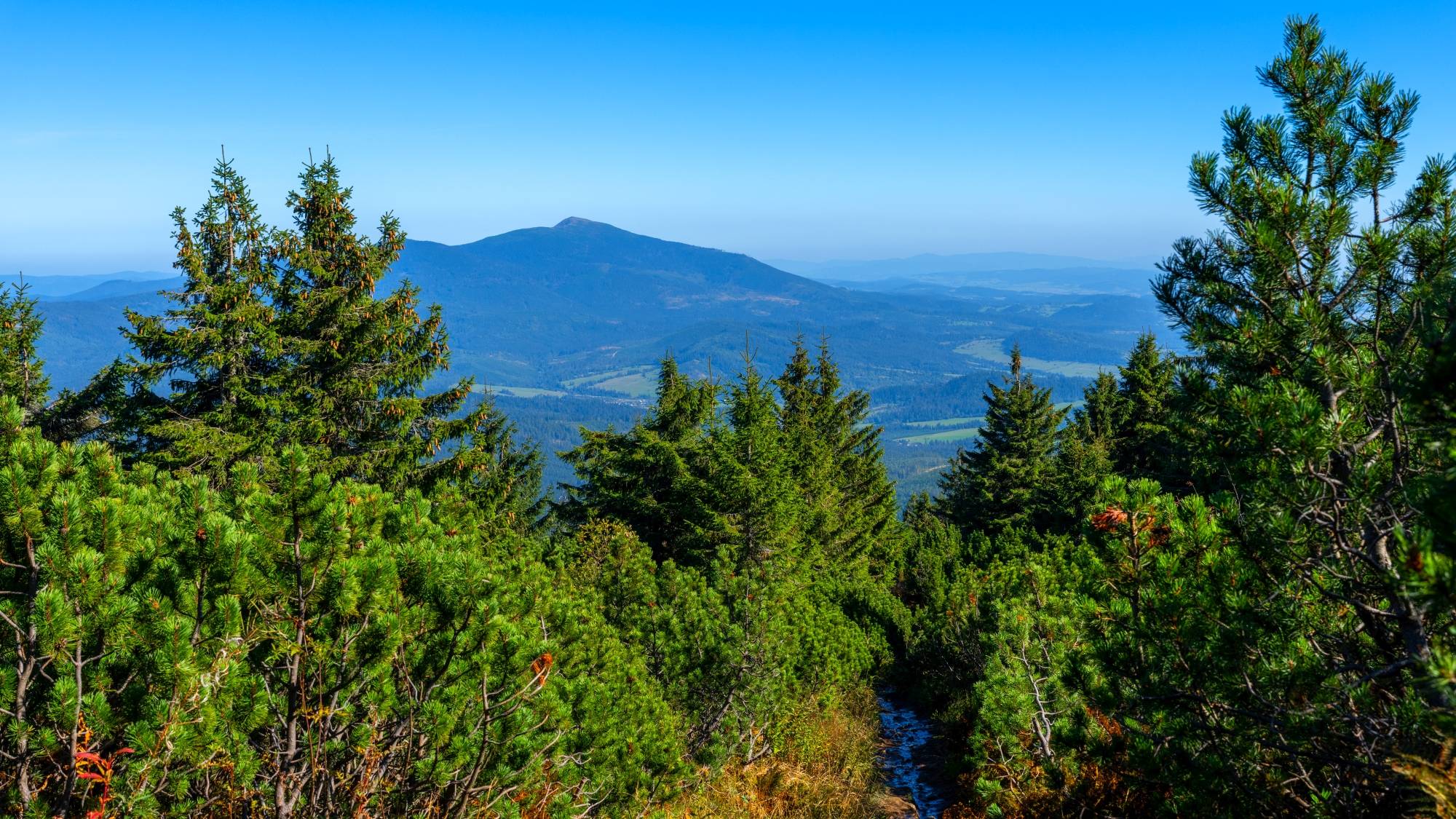 Kolory lata - zdjęcie 21