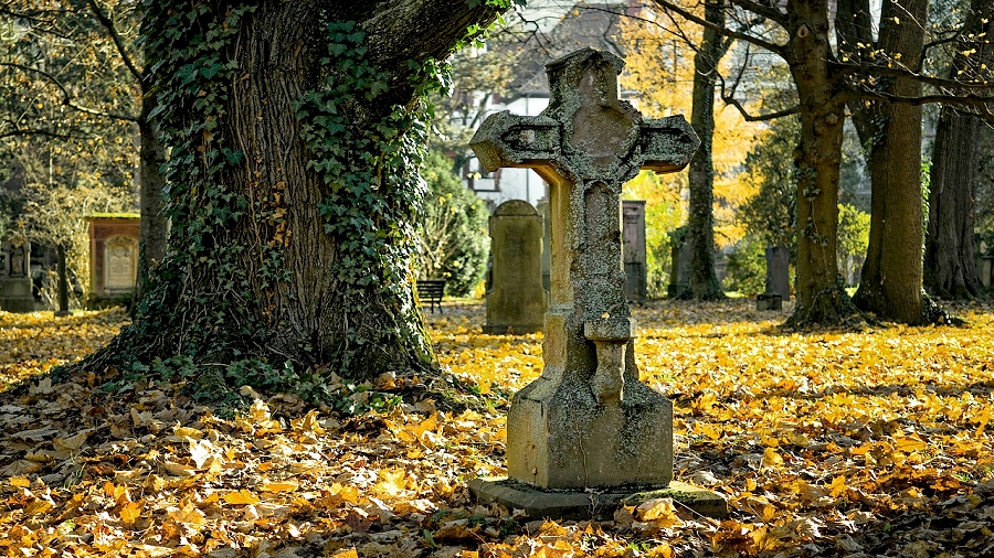 30.10.2018 07:00 Jaka pogoda w dniu Wszystkich Świętych i podczas długiego weekendu? Przyda się parasol?