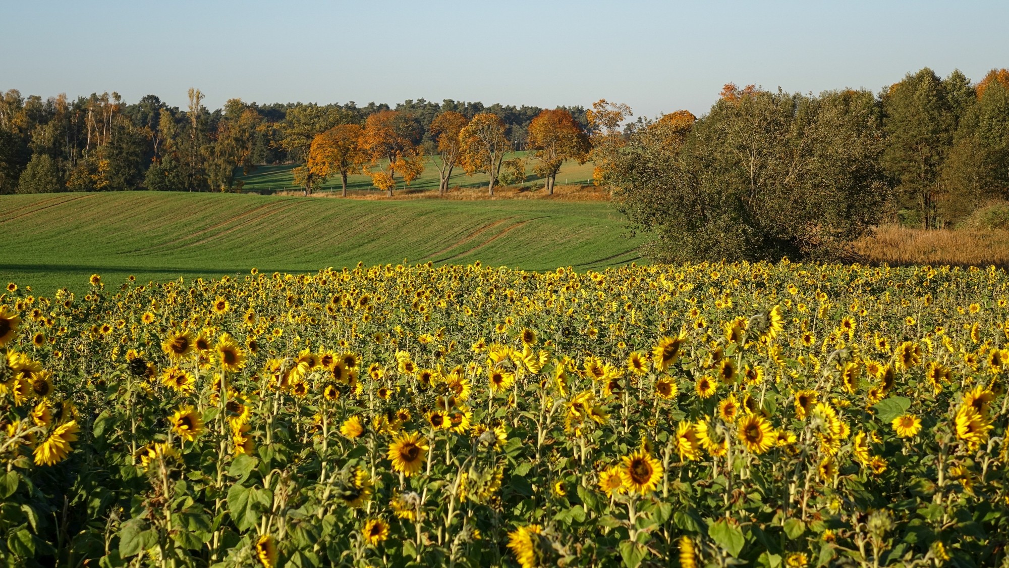 Jesień w górach, lasach i nad jeziorami - zdjęcie 31