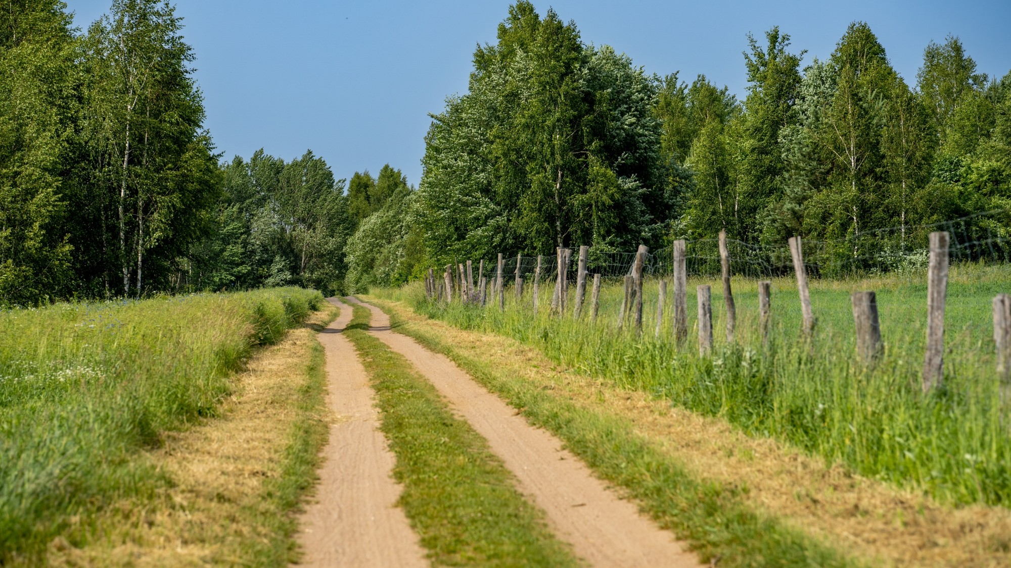 Lato na prowincji - zdjęcie 9