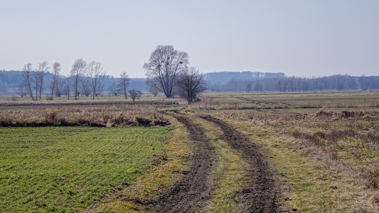 Marzec w obiektywie - zdjęcie 56