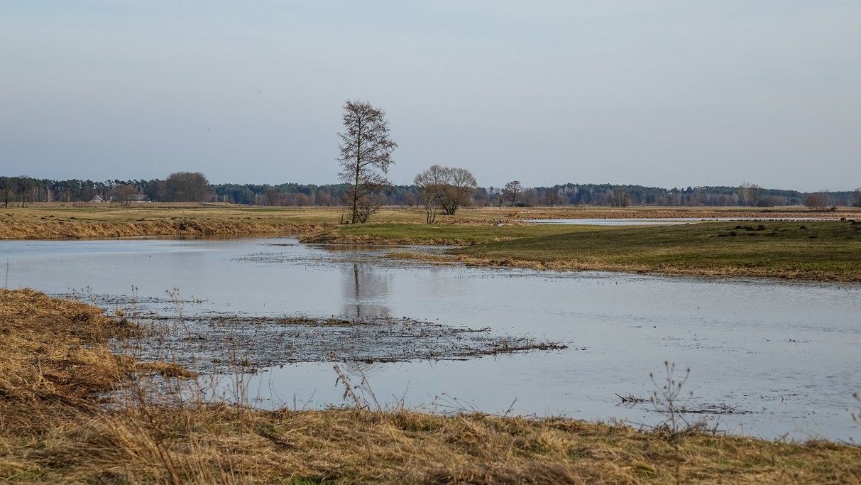 Marzec w obiektywie - zdjęcie 50