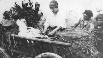 Nieskończenie niepodległa: wiktoria, 15 sierpnia 1920 roku