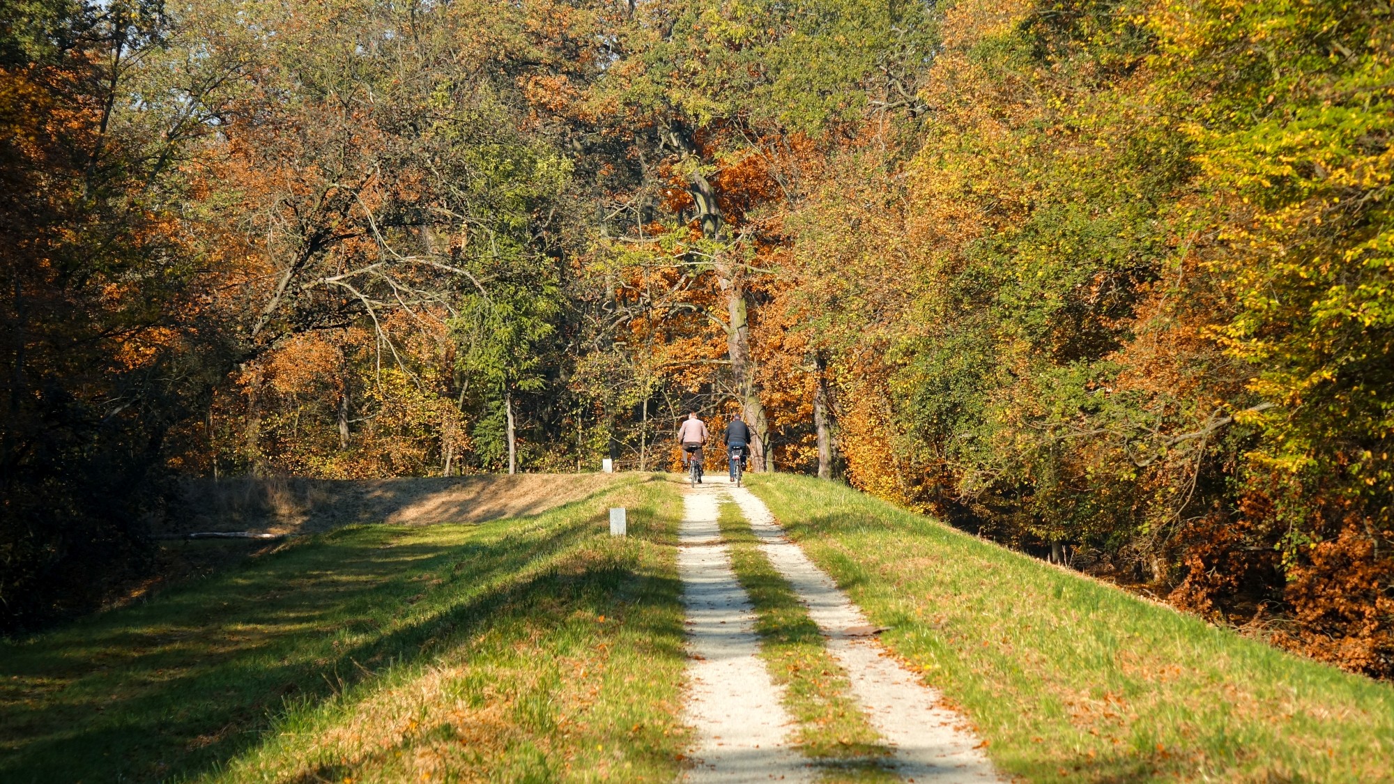 Jesień w górach, lasach i nad jeziorami - zdjęcie 14