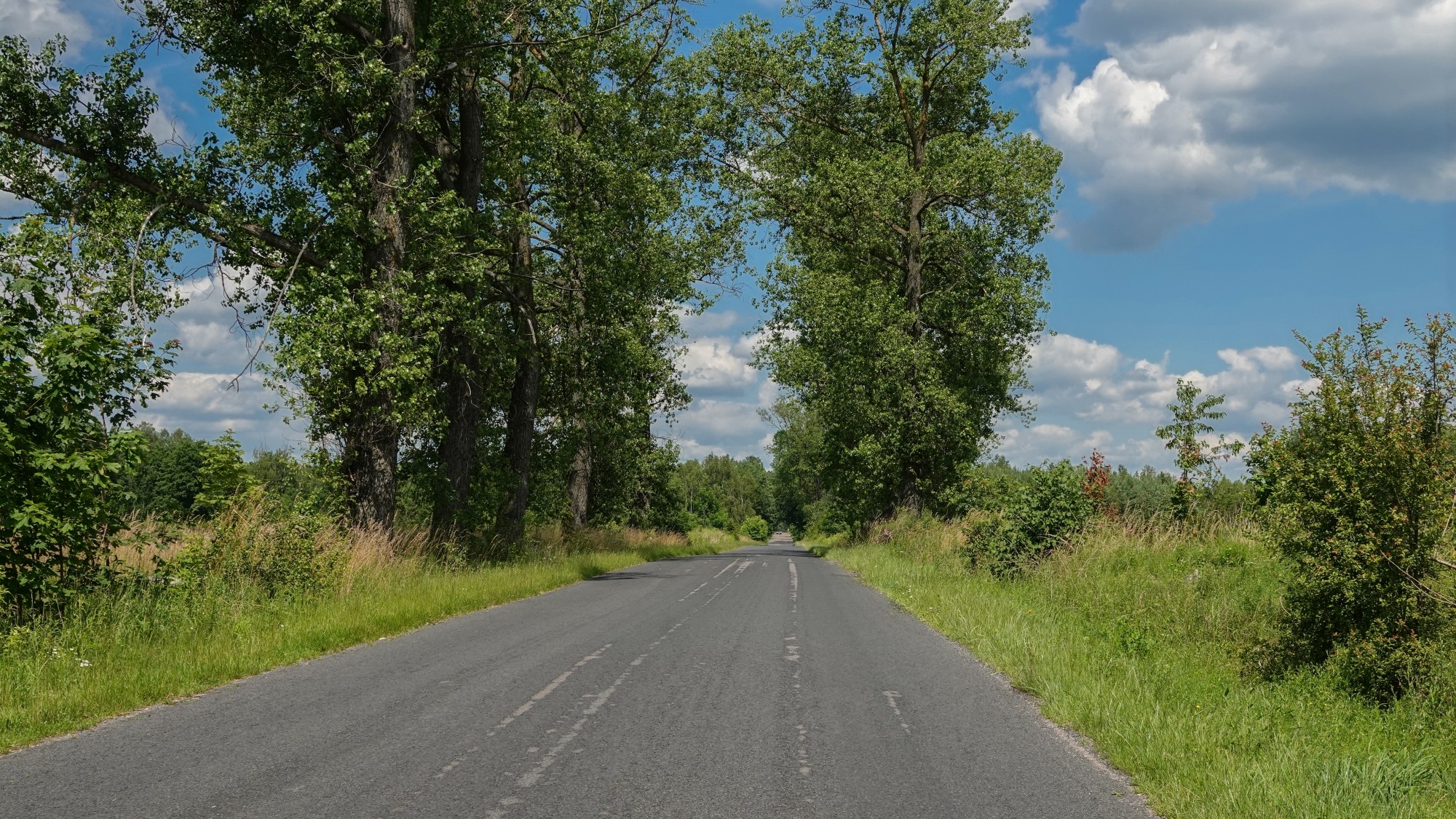 Podróż przez polską prowincję - zdjęcie 58