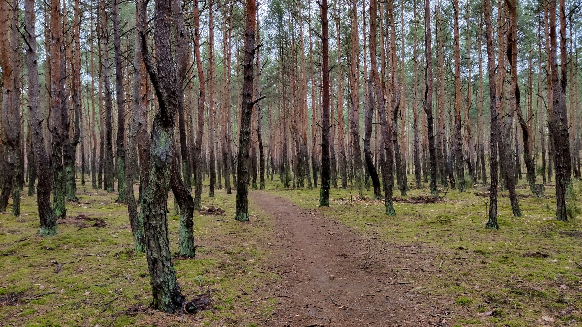 Najcieplejsza zima w historii - zdjęcie 39