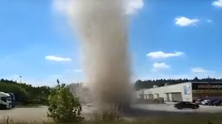 24.06.2022 05:58 Chwile grozy w Lesznie. Pojawiło się przed centrum handlowym i wystraszyło klientów. Co to było?