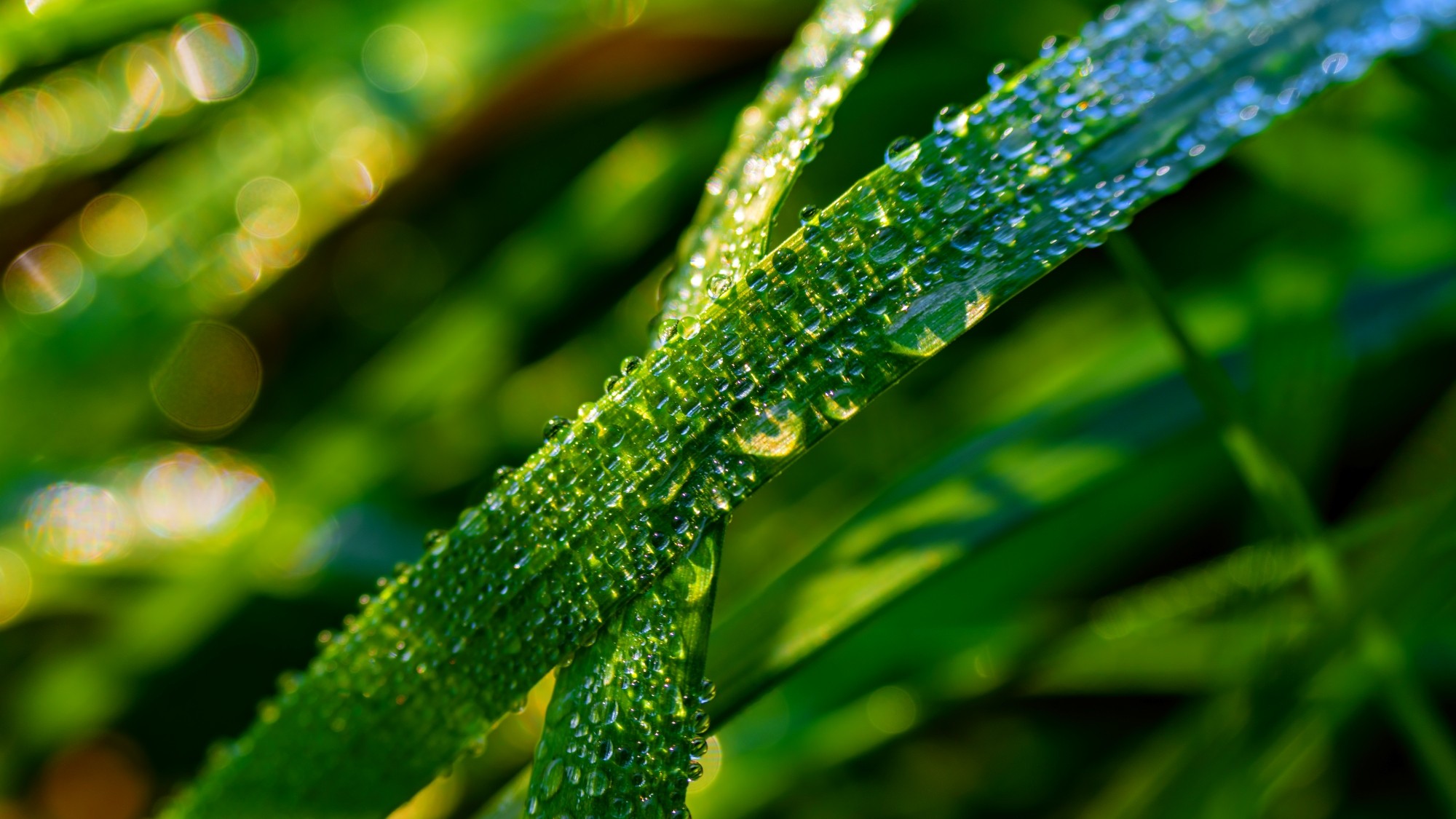 Piękny listopad - zdjęcie 9