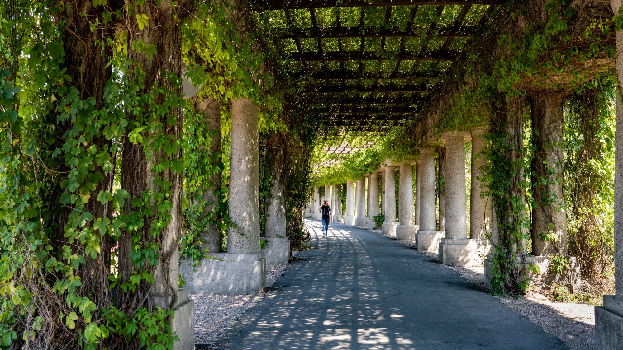 Kolory lata - zdjęcie 57