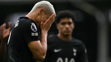 Psuedokibice Tottenhamu surowo ukarani! Bezterminowy zakaz stadionowy