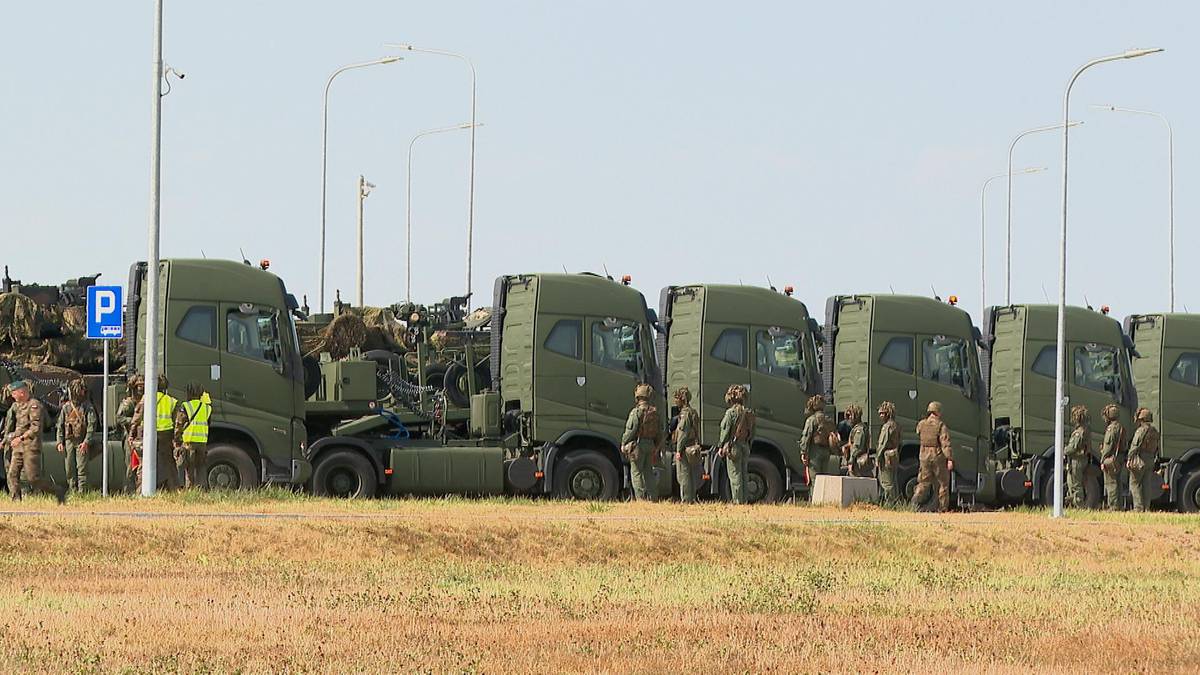 Rząd zielonych ciężarówek wojskowych zaparkowanych na polnej drodze, obok stoją żołnierze w mundurach.