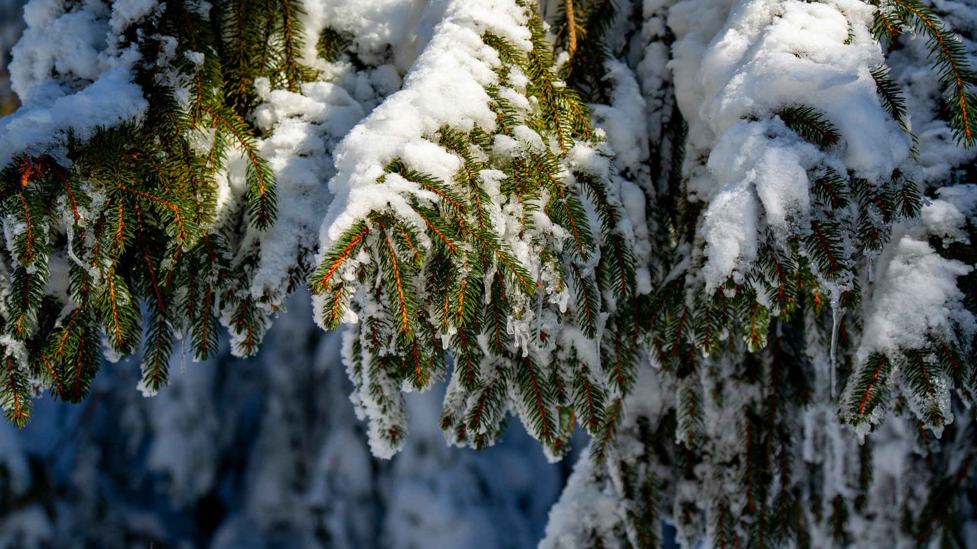 Zima w górach - zdjęcie 40