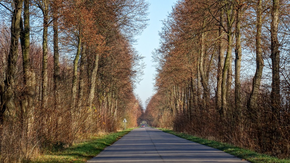 Listopad w obiektywie - zdjęcie 4