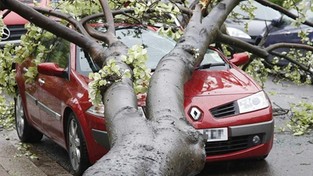 05.06.2020 12:00 To nie będzie spokojny weekend. Deszcze i burze nam nie odpuszczą. Sprawdź prognozę!