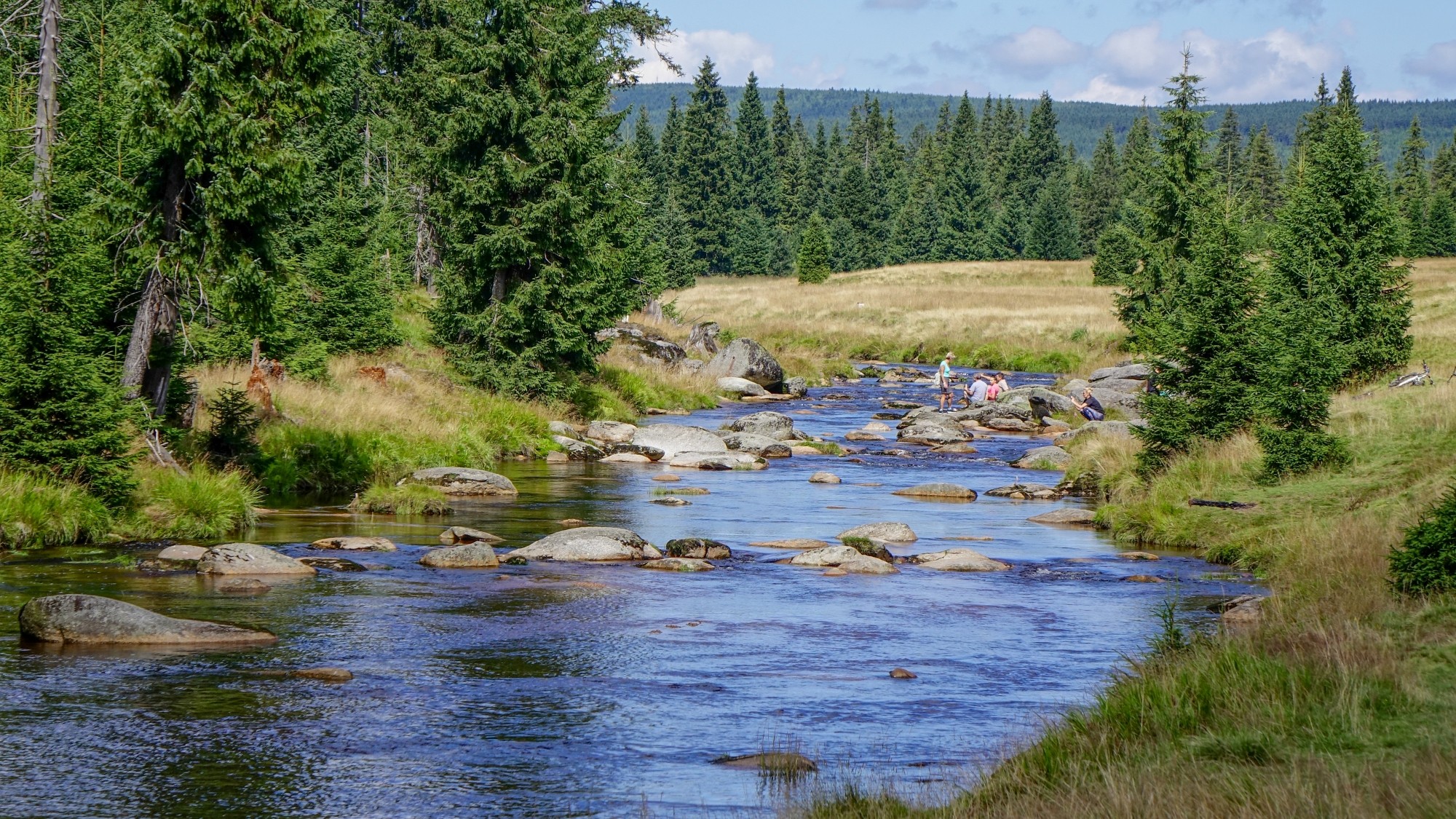 Wypoczynek nad wodą - zdjęcie 15